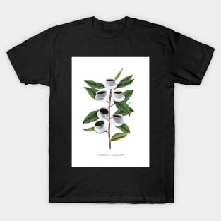 Coffee Botanical Print T-Shirt